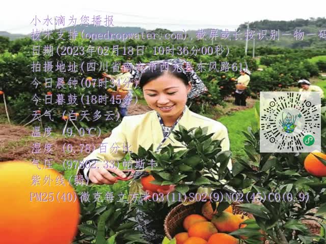 860123d0b263d2875c2c134ccbe621cc.mp4