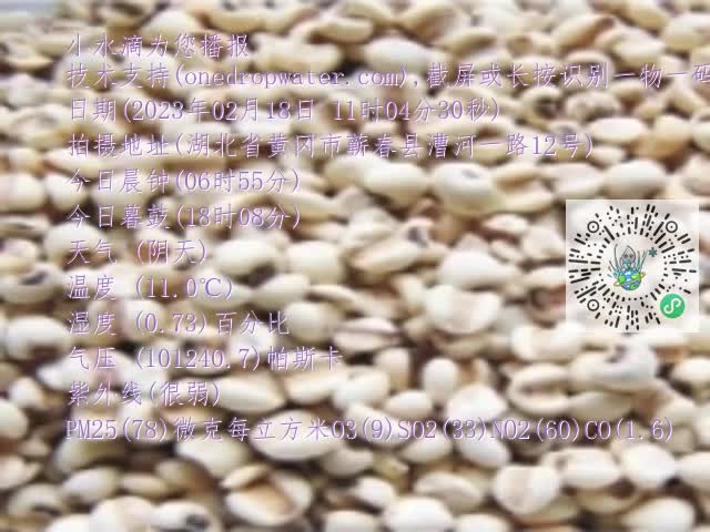 0.mp4