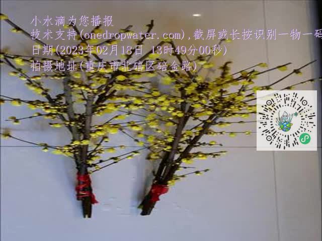 0.mp4