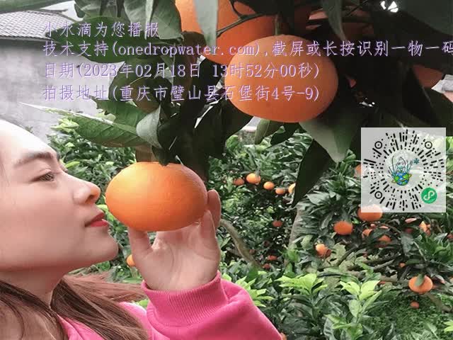 96a0d8a4fac7cc681ab80980a6e40eda.mp4