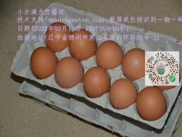 0.mp4