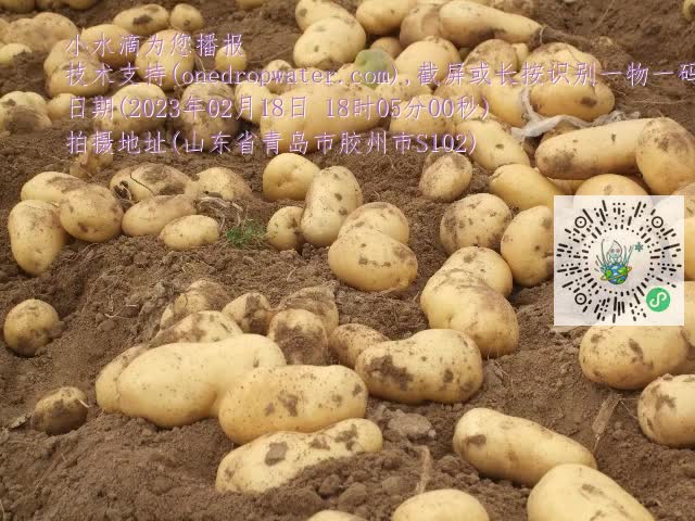 0.mp4