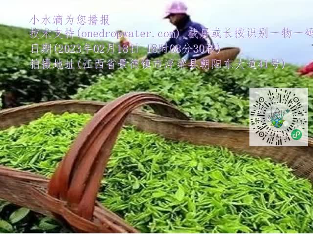 0.mp4