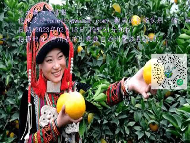 d26fdf69f5de4f02092e88d4155c82af.mp4