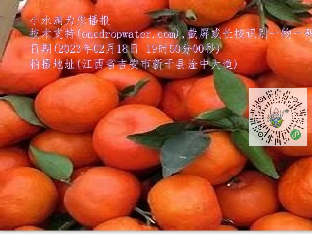 ecfc02e661c240238ed0ded099b304eb.mp4
