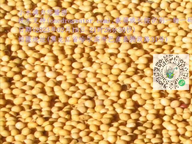 0.mp4