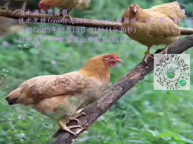 bc183d5cd9b8817688c971b5abad9dc1.mp4
