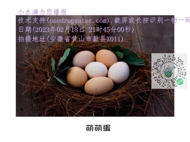 132b7dc3e65df8fe6cae9da93c0655d9.mp4
