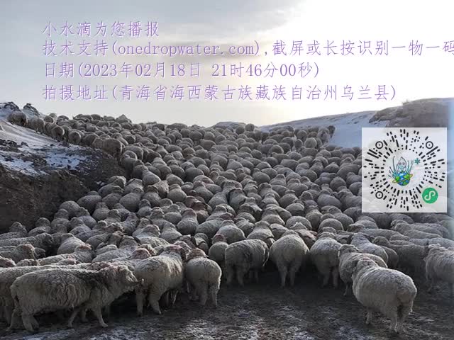 20a37bd5021d21591bac0a734073c578.mp4