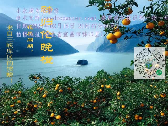 3a28fa3e18b5ebee3c945d7d23bf5442.mp4
