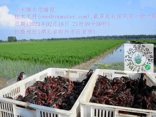 9c8b76a398c17587dc2fc48d5d266ed1.mp4