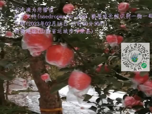 8cfd960e6b4a910dbb1d0699c1b1652b.mp4