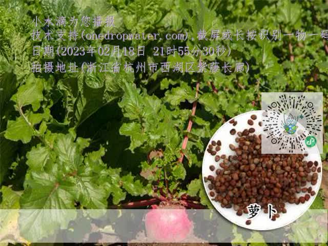 a4b4252d932f7ca1b7a5cee6b1a7bc19.mp4