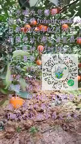 ljybXjQih7ExiA7PDWE-kfYaMar2mp4