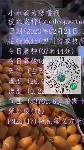 FtQbzoPL6aTvUi4a3vTP1S6_0JMSmp4