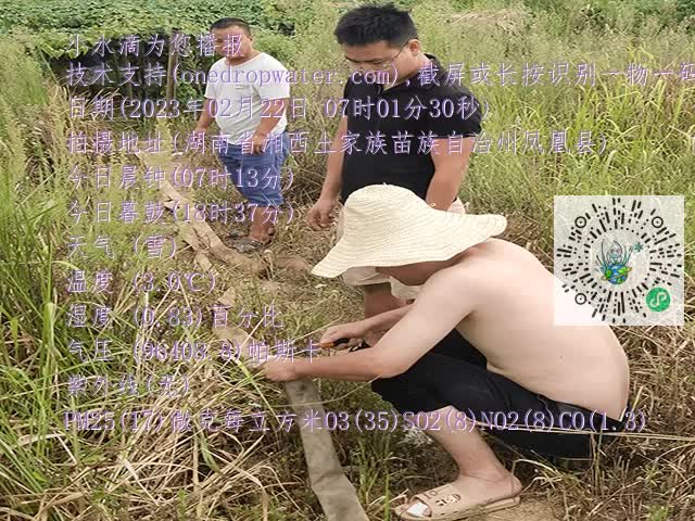 fb1356e90e19873b181cebbc07f72c78.mp4