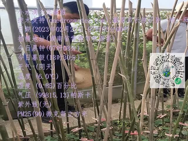 1ca5315187c7915aedcb62a0d18b756b.mp4