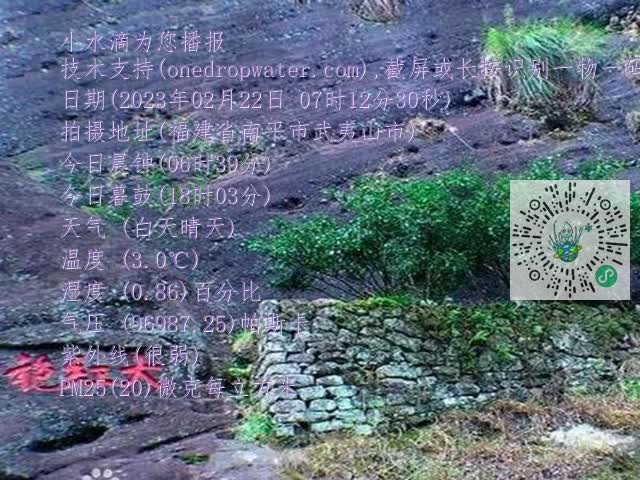 562dcbd6552486cfabb7187983c1d0e5.mp4
