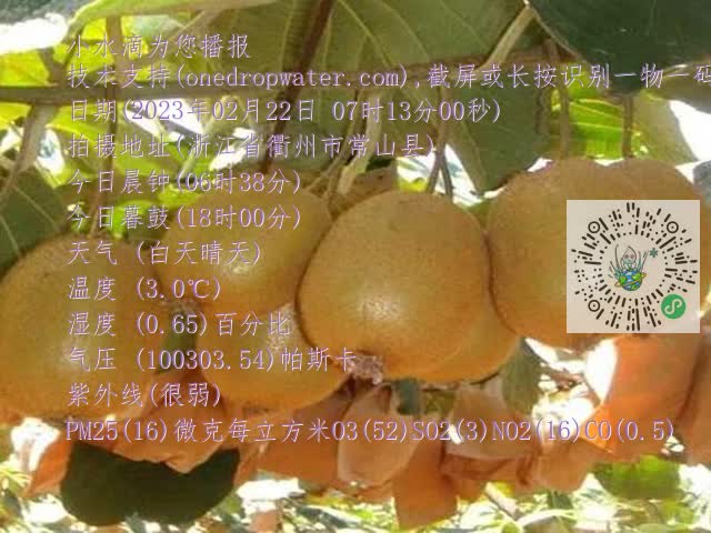 cf396d90520328060e002c0381a78e2e.mp4