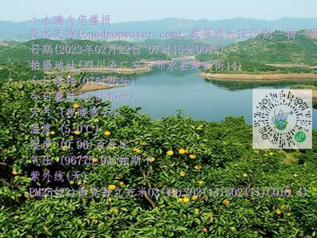 710dd9a2bbdcc7f599e8cf216ccee0a4.mp4