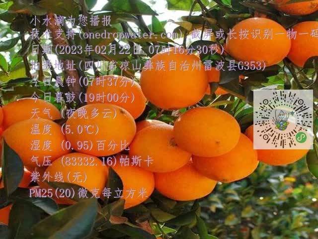 03266e80825dec241819f765aa078752.mp4