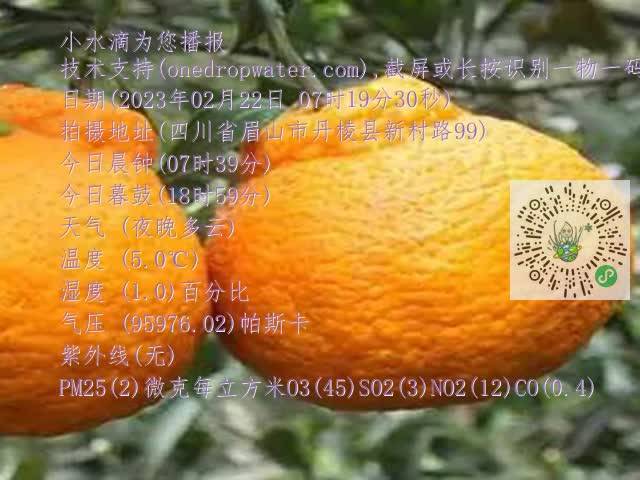 fcd7ad02a655962e6ab6a61dd021584d.mp4