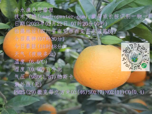 549f521e5c04fd184cea909616b9b61f.mp4