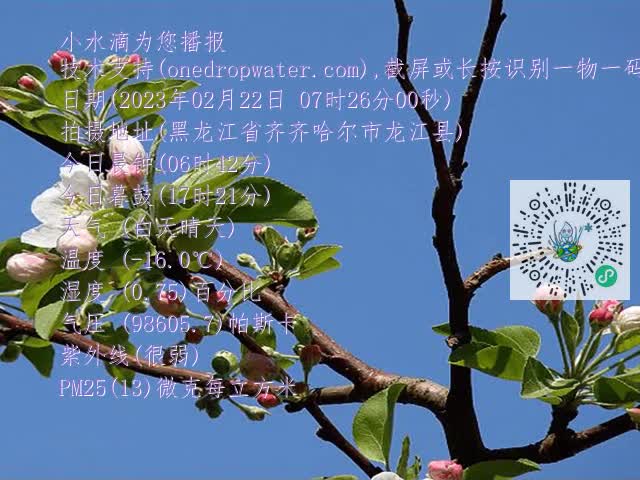 d77827fd2f4aa417a715d1dc90323eb3.mp4
