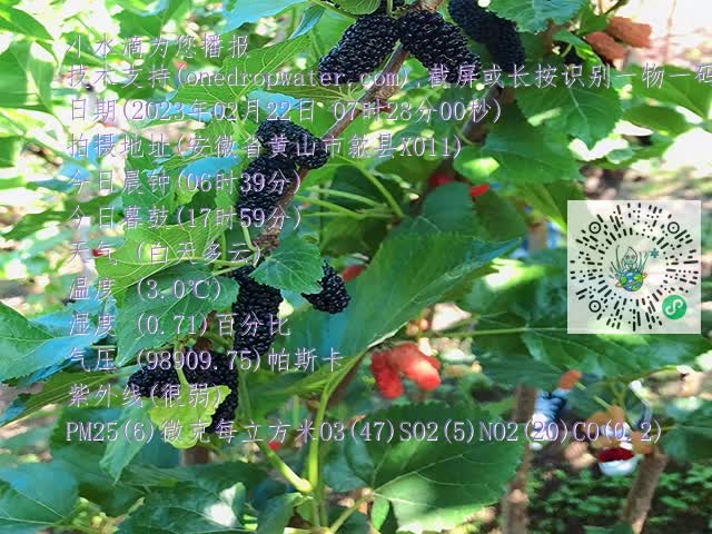 18053b670e2cd33b08f50659850fbd57.mp4