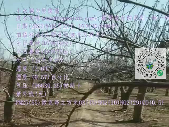 a43eecb5b7b7473537f9571957bfe4ff.mp4
