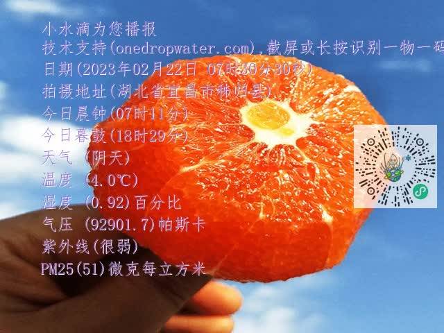 2dd7c92454ed3c2c0b797e257031d008.mp4