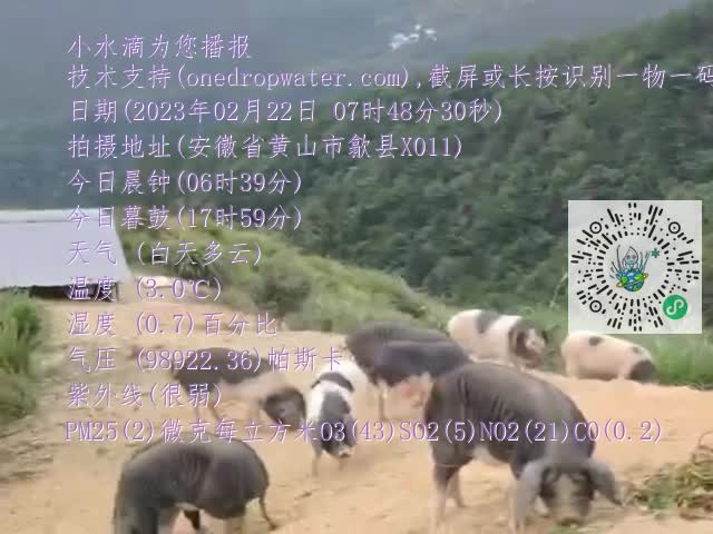7756d8ddc8a2b12d0eee5752912e28e7.mp4