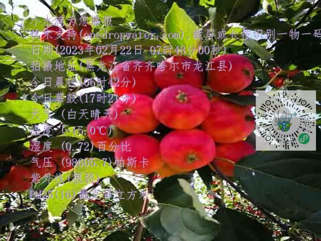 9e52d468dd5ff3824cf170518c89640c.mp4