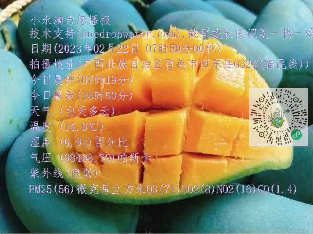 73494d77cb606d36ec27b666fd711518.mp4