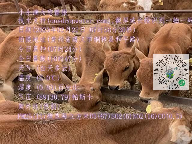 0.mp4