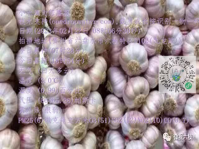 0.mp4