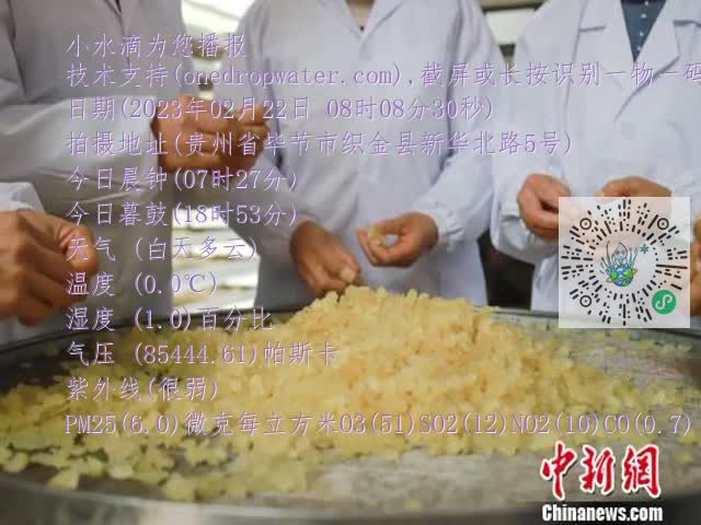 0.mp4