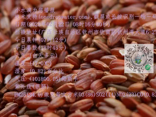 0.mp4
