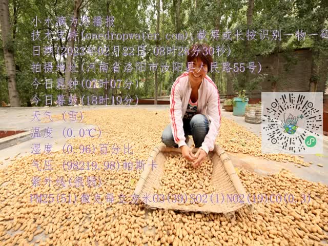 0.mp4