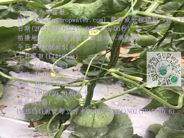 0.mp4