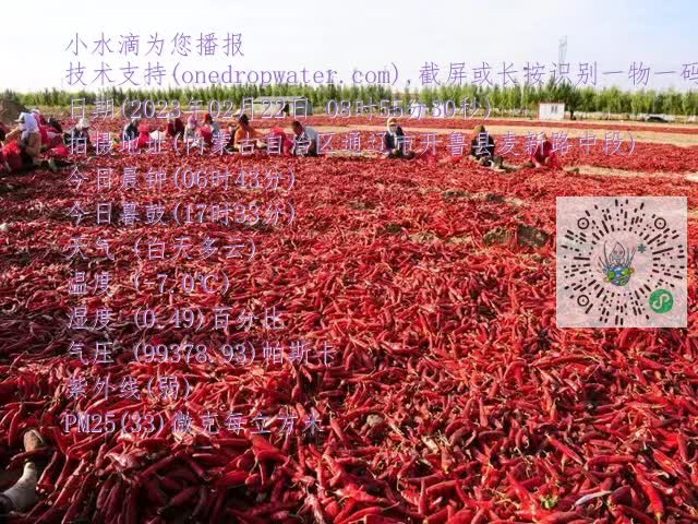 0.mp4