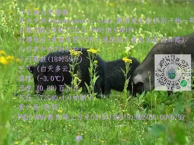 0.mp4
