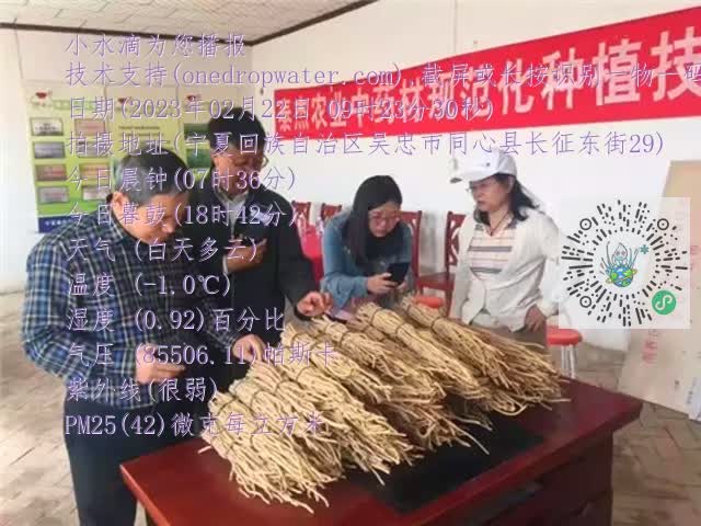 0.mp4