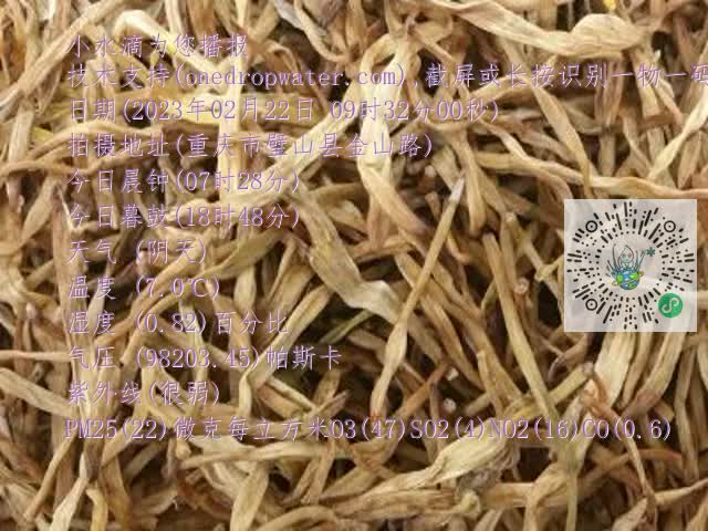 0.mp4
