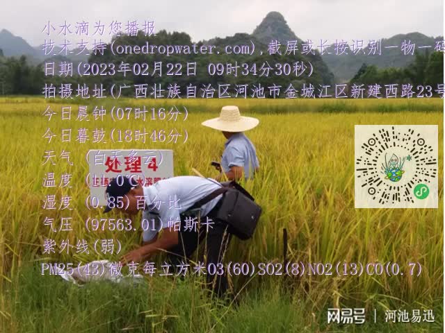 0.mp4