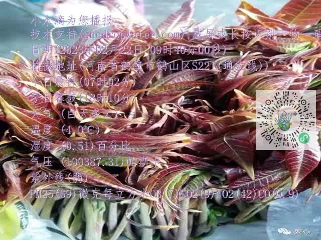 0.mp4