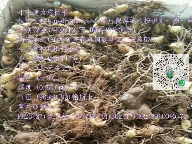 0.mp4