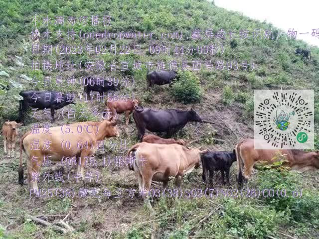 0.mp4