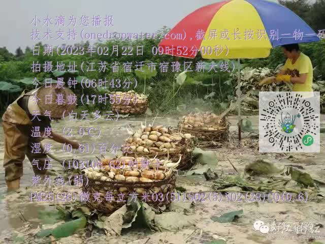 0.mp4