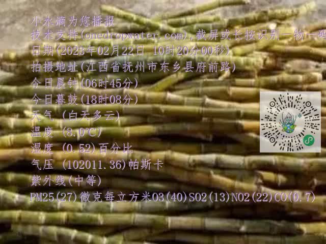 0.mp4